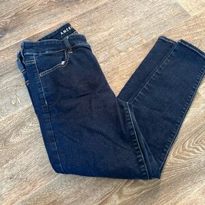 AE Hi-Rise Jegging | 10 XShort